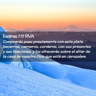 Picture 02 - Esdras 7:17 RVA - Comprarás pues prestamente con esta plata - Bible Verse Picture