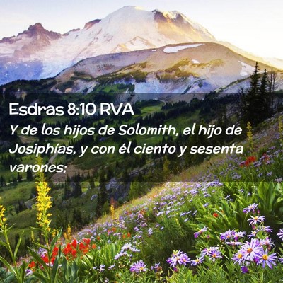 Picture 02 - Esdras 8:10 RVA - Y de los hijos de Solomith, el hijo de - Bible Verse Picture