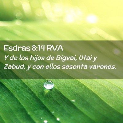Picture 02 - Esdras 8:14 RVA - Y de los hijos de Bigvai, Utai y Zabud, y con - Bible Verse Picture