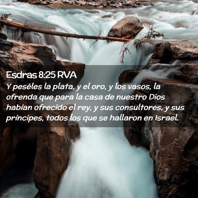Picture 02 - Esdras 8:25 RVA - Y peséles la plata, y el oro, y los vasos, la - Bible Verse Picture