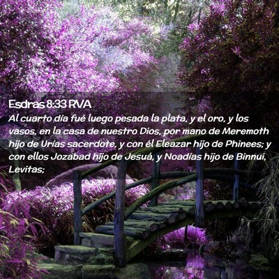 Picture 02 - Esdras 8:33 RVA - Al cuarto día fué luego pesada la plata, y el - Bible Verse Picture