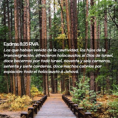 Picture 02 - Esdras 8:35 RVA - Los que habían venido de la cautividad, los - Bible Verse Picture