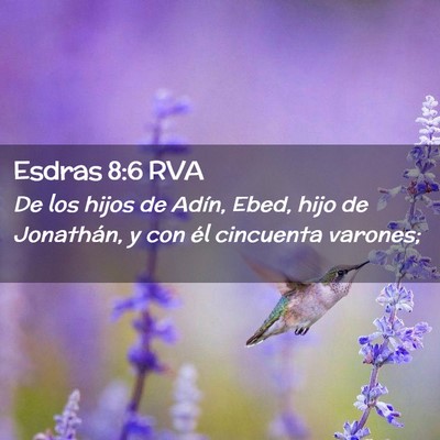 Picture 02 - Esdras 8:6 RVA - De los hijos de Adín, Ebed, hijo de Jonathán, y - Bible Verse Picture