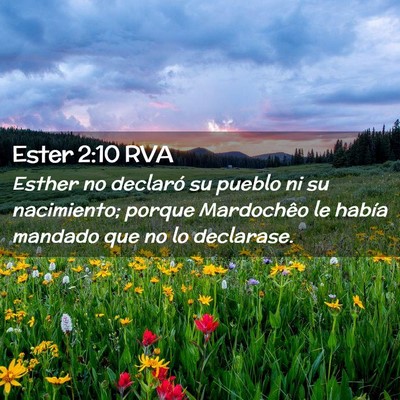 Picture 02 - Ester 2:10 RVA - Esther no declaró su pueblo ni su nacimiento; - Bible Verse Picture