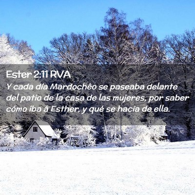 Picture 02 - Ester 2:11 RVA - Y cada día Mardochêo se paseaba delante del - Bible Verse Picture