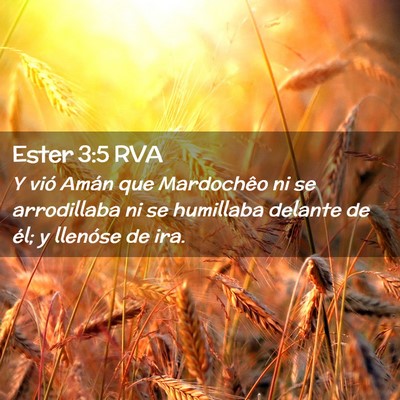 Picture 02 - Ester 3:5 RVA - Y vió Amán que Mardochêo ni se arrodillaba ni - Bible Verse Picture