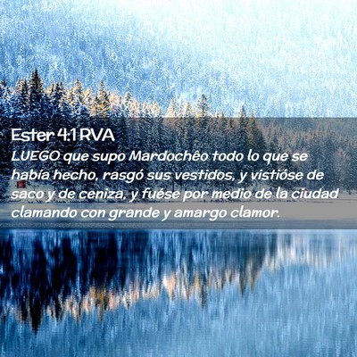 Picture 02 - Ester 4:1 RVA - LUEGO que supo Mardochêo todo lo que se había - Bible Verse Picture