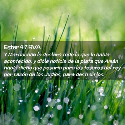 Picture 02 - Ester 4:7 RVA - Y Mardochêo le declaró todo lo que le había - Bible Verse Picture
