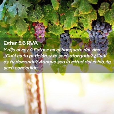Picture 02 - Ester 5:6 RVA - Y dijo el rey á Esther en el banquete del vino: - Bible Verse Picture