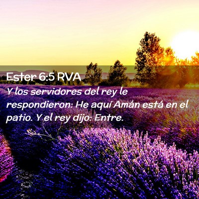 Picture 02 - Ester 6:5 RVA - Y los servidores del rey le respondieron: He - Bible Verse Picture