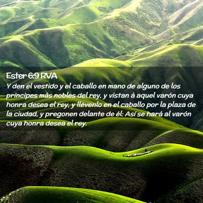 Picture 02 - Ester 6:9 RVA - Y den el vestido y el caballo en mano de alguno - Bible Verse Picture