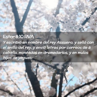 Picture 02 - Ester 8:10 RVA - Y escribió en nombre del rey Assuero, y selló - Bible Verse Picture