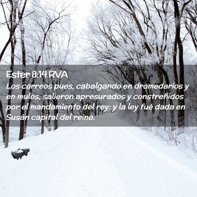 Picture 02 - Ester 8:14 RVA - Los correos pues, cabalgando en dromedarios y en - Bible Verse Picture