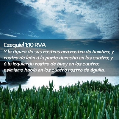 Picture 02 - Ezequiel 1:10 RVA - Y la figura de sus rostros era rostro de hombre; - Bible Verse Picture