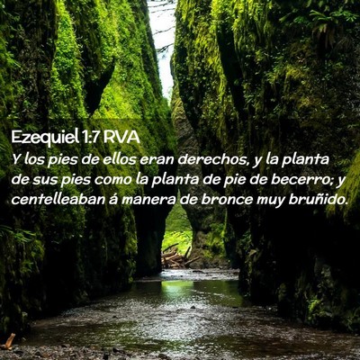 Picture 02 - Ezequiel 1:7 RVA - Y los pies de ellos eran derechos, y la planta de - Bible Verse Picture
