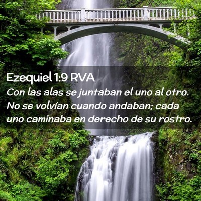 Picture 02 - Ezequiel 1:9 RVA - Con las alas se juntaban el uno al otro. No se - Bible Verse Picture