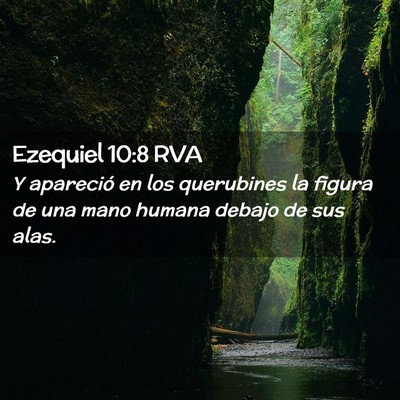 Picture 02 - Ezequiel 10:8 RVA - Y apareció en los querubines la figura de una - Bible Verse Picture