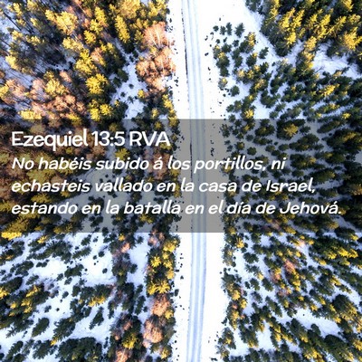 Picture 02 - Ezequiel 13:5 RVA - No habéis subido á los portillos, ni echasteis - Bible Verse Picture
