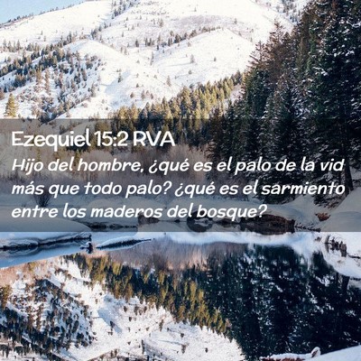 Picture 02 - Ezequiel 15:2 RVA - Hijo del hombre, ¿qué es el palo de la vid más - Bible Verse Picture