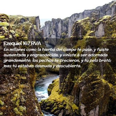Picture 02 - Ezequiel 16:7 RVA - En millares como la hierba del campo te puse, y - Bible Verse Picture