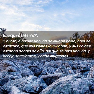 Picture 02 - Ezequiel 17:6 RVA - Y brotó, é hízose una vid de mucha rama, baja - Bible Verse Picture