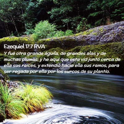 Picture 02 - Ezequiel 17:7 RVA - Y fué otra grande águila, de grandes alas y de - Bible Verse Picture