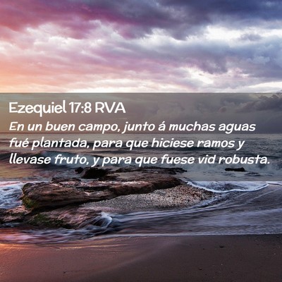 Picture 02 - Ezequiel 17:8 RVA - En un buen campo, junto á muchas aguas fué - Bible Verse Picture