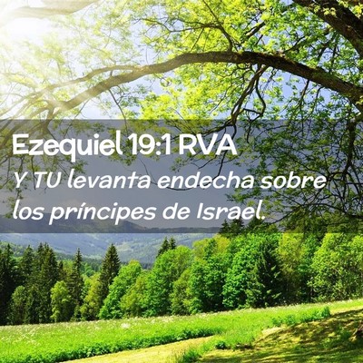 Picture 02 - Ezequiel 19:1 RVA - Y TU levanta endecha sobre los príncipes de - Bible Verse Picture