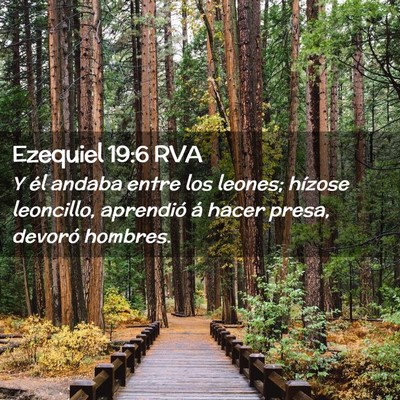 Picture 02 - Ezequiel 19:6 RVA - Y él andaba entre los leones; hízose leoncillo, - Bible Verse Picture