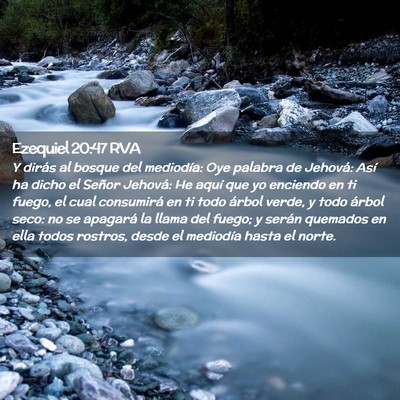 Picture 02 - Ezequiel 20:47 RVA - Y dirás al bosque del mediodía: Oye palabra de - Bible Verse Picture