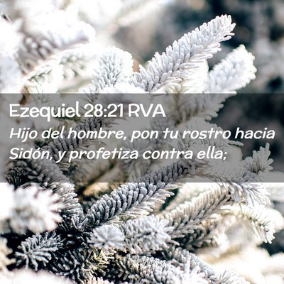 Picture 02 - Ezequiel 28:21 RVA - Hijo del hombre, pon tu rostro hacia Sidón, y - Bible Verse Picture