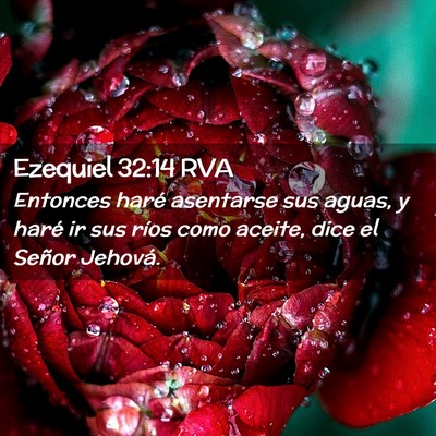 Picture 02 - Ezequiel 32:14 RVA - Entonces haré asentarse sus aguas, y haré ir - Bible Verse Picture
