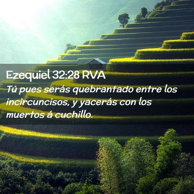 Picture 02 - Ezequiel 32:28 RVA - Tú pues serás quebrantado entre los - Bible Verse Picture
