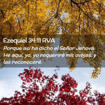 Picture 02 - Ezequiel 34:11 RVA - Porque así ha dicho el Señor Jehová: He aquí, - Bible Verse Picture