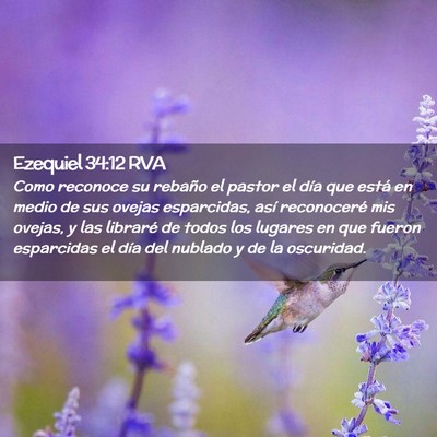 Picture 02 - Ezequiel 34:12 RVA - Como reconoce su rebaño el pastor el día que - Bible Verse Picture