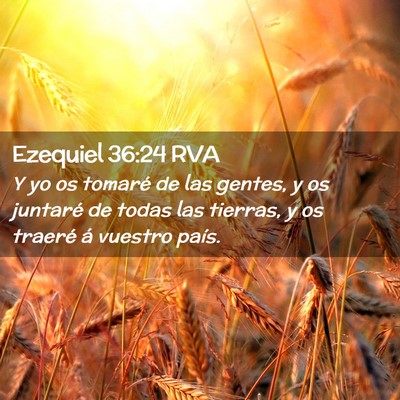 Picture 02 - Ezequiel 36:24 RVA - Y yo os tomaré de las gentes, y os juntaré de - Bible Verse Picture