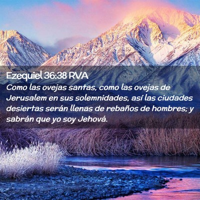 Picture 02 - Ezequiel 36:38 RVA - Como las ovejas santas, como las ovejas de - Bible Verse Picture