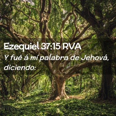 Picture 02 - Ezequiel 37:15 RVA - Y fué á mí palabra de Jehová, - Bible Verse Picture