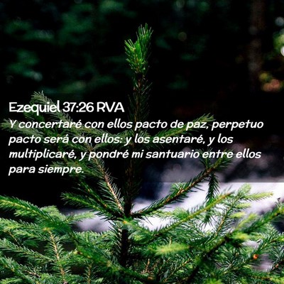 Picture 02 - Ezequiel 37:26 RVA - Y concertaré con ellos pacto de paz, perpetuo - Bible Verse Picture