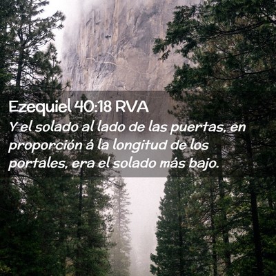 Picture 02 - Ezequiel 40:18 RVA - Y el solado al lado de las puertas, en - Bible Verse Picture