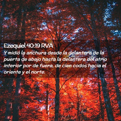 Picture 02 - Ezequiel 40:19 RVA - Y midió la anchura desde la delantera de la - Bible Verse Picture