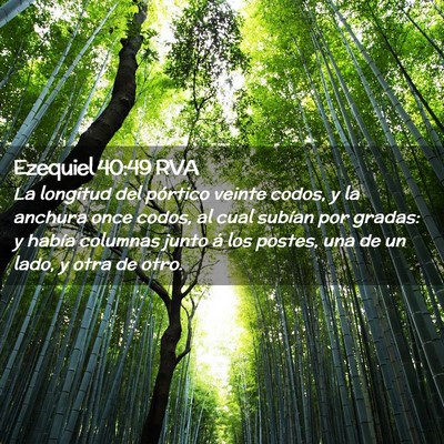 Picture 02 - Ezequiel 40:49 RVA - La longitud del pórtico veinte codos, y la - Bible Verse Picture