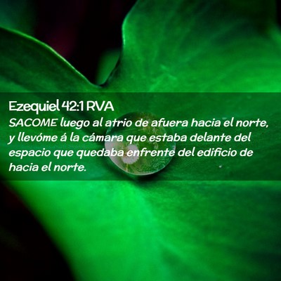 Picture 02 - Ezequiel 42:1 RVA - SACOME luego al atrio de afuera hacia el norte, y - Bible Verse Picture