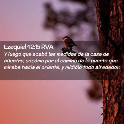 Picture 02 - Ezequiel 42:15 RVA - Y luego que acabó las medidas de la casa de - Bible Verse Picture