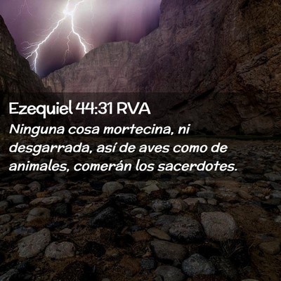 Picture 02 - Ezequiel 44:31 RVA - Ninguna cosa mortecina, ni desgarrada, así de - Bible Verse Picture