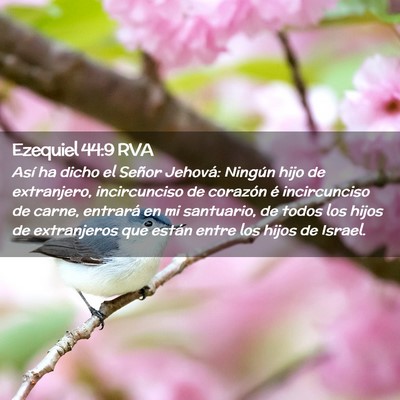 Picture 02 - Ezequiel 44:9 RVA - Así ha dicho el Señor Jehová: Ningún hijo de - Bible Verse Picture
