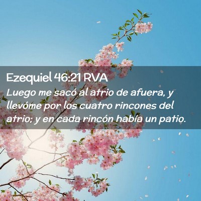 Picture 02 - Ezequiel 46:21 RVA - Luego me sacó al atrio de afuera, y llevóme por - Bible Verse Picture