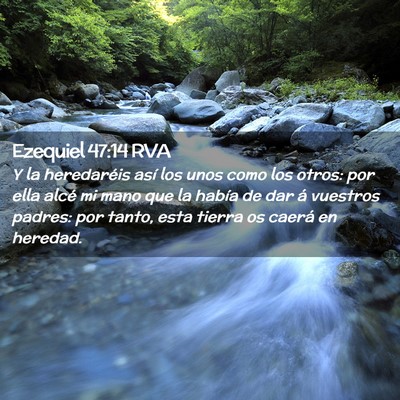 Picture 02 - Ezequiel 47:14 RVA - Y la heredaréis así los unos como los otros: - Bible Verse Picture