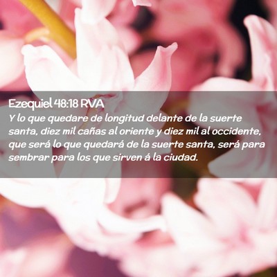 Picture 02 - Ezequiel 48:18 RVA - Y lo que quedare de longitud delante de la suerte - Bible Verse Picture