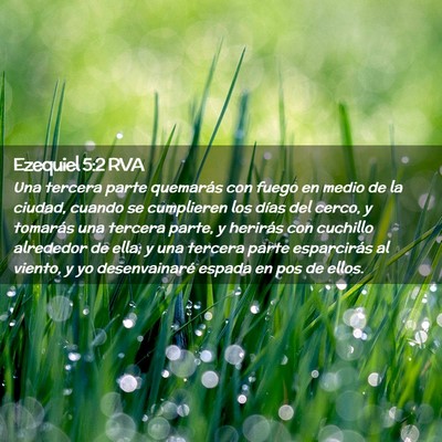 Picture 02 - Ezequiel 5:2 RVA - Una tercera parte quemarás con fuego en medio de - Bible Verse Picture